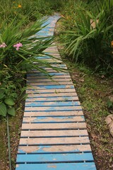 A simple wooden path thru the summer garden.