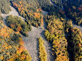Fototapeta na wymiar Aerial autumn view of Golden Bridges at Vitosha Mountain, Bulgaria