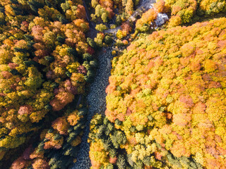 Aerial autumn view of Golden Bridges at Vitosha Mountain, Bulgaria