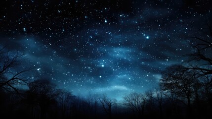 Stars in the sky, in the style of digital painting, tender depiction of nature, dark sky-blue and black, soft, romantic scenes, romanticized landscapes, serene atmospheric perspective, fine detailed