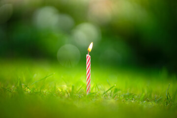 A lighted candle stands on the green grass.A burning candle stuck in the ground. High resolution...