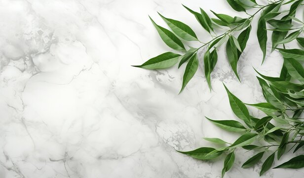 Elegant Arrangement of White Flowers and Green Leaves on a Marble Background: A Perfect Element for Sophisticated Designs