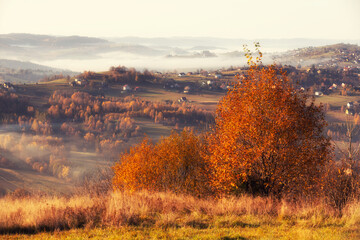 Krajobraz górski i mglisty wschód słońca, jesienny poranek, Beskidy - obrazy, fototapety, plakaty