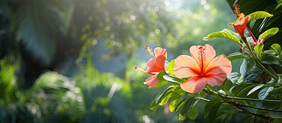 isolated garden amidst the lush greenery and colorful blooms a tropical flower stood tall showcasing the beauty of natures vibrant palette backdrop of a summers day