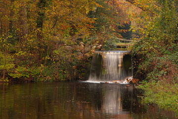 A little waterfall in Park Sonsbeek in Arnhem. In autumn.