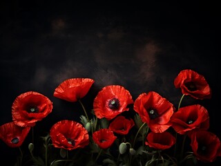 Red poppies on black background. Remembrance Day, Armistice Day symbol, red flower frame with copy space.