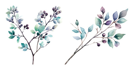 Christmas branch watercolor clipart illustration with isolated background.