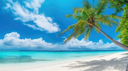 Beautiful palm tree on tropical island beach on background blue sky with white clouds and turquoise ocean on sunny day 