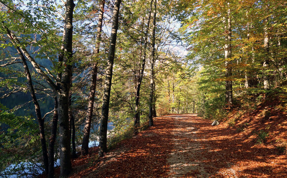 Herbst an den Langbathseen, Ober&ouml;sterreich