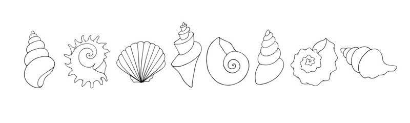 A set of linear sketches and coloring pages of seashells. Vector graphics.