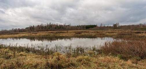 Late autumn, a bleak landscape. A swampy lowland and a field with dried grass. Rainy cloudy day