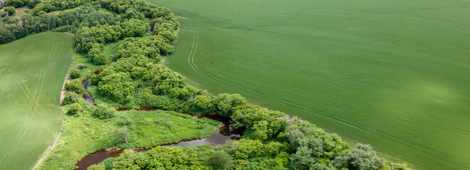 Aerial panoramic view looking down onto a large green wheat field and a winding river that is surrounded with green trees.
