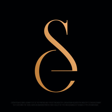 Modern professional monogram in the shape of the SE