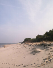 Baltic sea coast at sunny day.