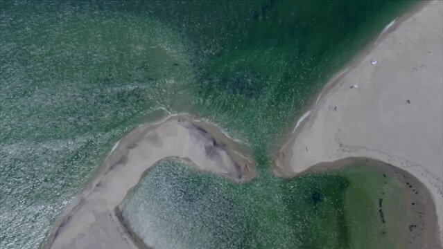 Aerial of Seals on Monomoy Island at Chatham, Cape Cod