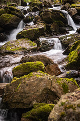Naklejka na ściany i meble Beautiful water stream in Gresso river Portugal. Long exposure smooth effect. Scenic landscape with beautiful mountain creek with green water among lush foliage in forest.