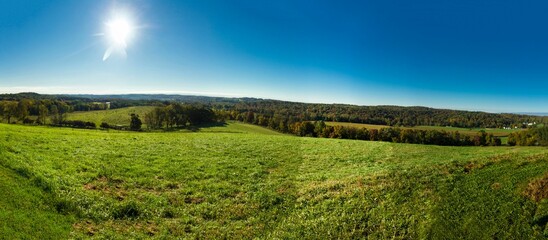 Aerial view of greenery fields surrounded by dense trees