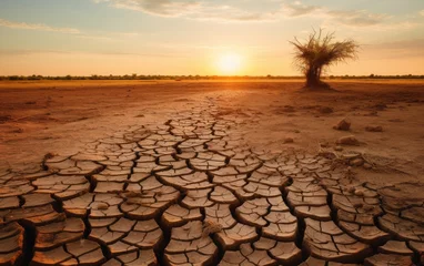 Foto op Canvas Drought: Cracked earth in what used to be a body of water or a lush area, portraying the severity of drought conditions. © Dina