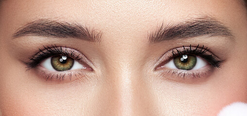 Naklejka premium Beautiful female eyes with long eyelashes. Eyelash extensions. Makeup, cosmetics, beauty. Close up, macro