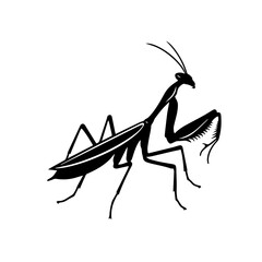 Praying Mantis Vector Logo Art - obrazy, fototapety, plakaty