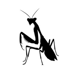 Praying Mantis Vector Logo Art - obrazy, fototapety, plakaty