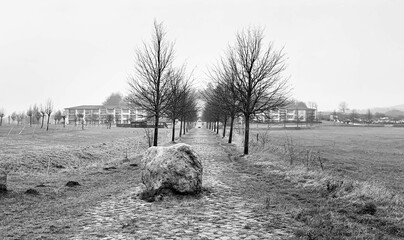 Grayscale of a big stone in the middle of a road with trees and houses in the background