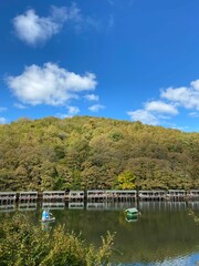 Fototapeta premium Vertical shot of a green lake near a forest in Istanbul, Turkey