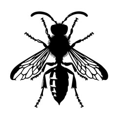 Wasp Vector Logo Art
