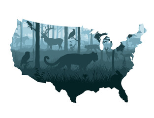 USA map - woodland forest with cougar puma, grey wolf,  eagle, lynx, eagle owl, rabbit, elk, roe deer, owl, moose, bison, jay and black bear