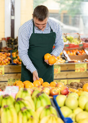 Focused interested greengrocery store owner wearing green apron carefully arranging ripe oranges on...