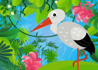 Fototapeta premium cartoon scene with forest and animal creature bird stork illustration for children