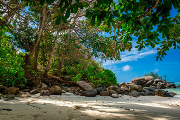 View of nice tropical beach with palms and granite rocks. Holiday and vacation concept. Tropical beach. Mahe Island, Seychelles. Anse Roayle