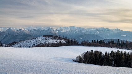 Fototapeta na wymiar Winter snowy landscape with mountains in background. The Mala Fatra national park in Slovakia, Europe.