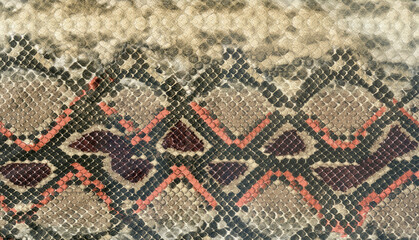 Snake skin leather textured reptile print. Pyton animal leather background.