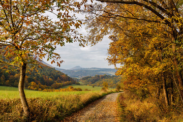 Dirt road through the countryside in an autumn foggy morning. Northwest of Slovakia, Europe.