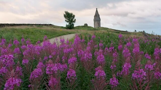 Wind blowing the flowers and isolated tree standing besides  Hartshead Pike monument at Manchester UK