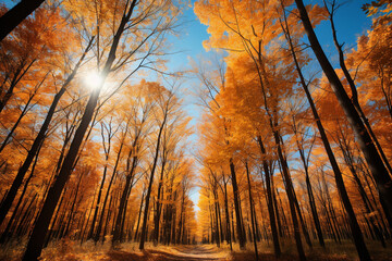 An enchanting forest scene with vibrant orange leaves adorning tall trees, set against a clear blue sky, celebrating the beauty of the fall season.