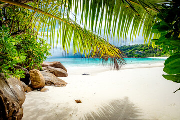 Tropical paradise beach with palm trees and granite rocks. Petite Anse beach at Seychelles, Mahe