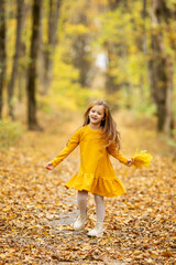 Fashion little girl walking in autumn forest. Cute little girl in a yellow dress walks in a beautiful autumn park, stands on the background of bright colorful foliage.