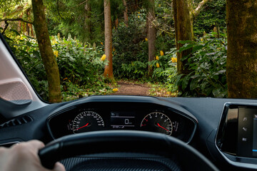 Driver view to a typical azorean forest with beautiful landscape view from inside a stopped car of driver POV of the road landscape. São Miguel island in the Azores, Portugal, Europe.