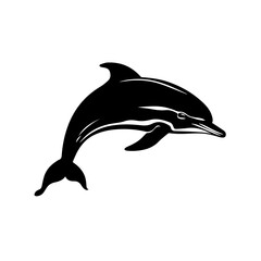 Dolphin Vector