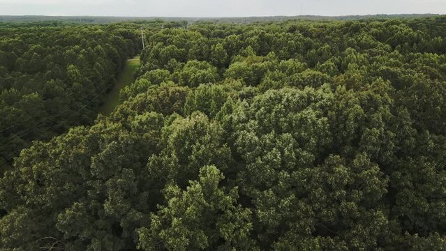Slow motion aerial view of trees Near Saxapahaaw, Alamance County, North Carolina.