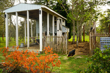 Adorable wooden hen house in the garden during Autumn days