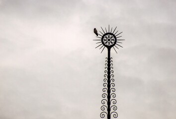 View from above, bird on top. II