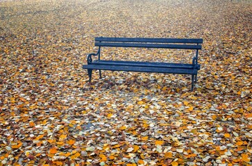 Autumn in the park, a bench and a million leaves.