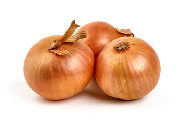 Fresh onion bulbs, isolated on white background. High resolution image.