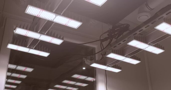 LED grow lights have become increasingly popular in indoor gardening, hydroponics, and other controlled environments due to their energy efficiency. 
