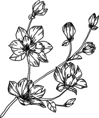 stencil illustration flower blossoms