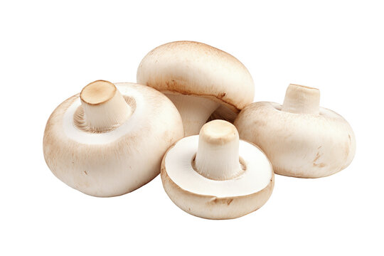 A Gathering of white  Paris  Mushrooms isolated on transparent background