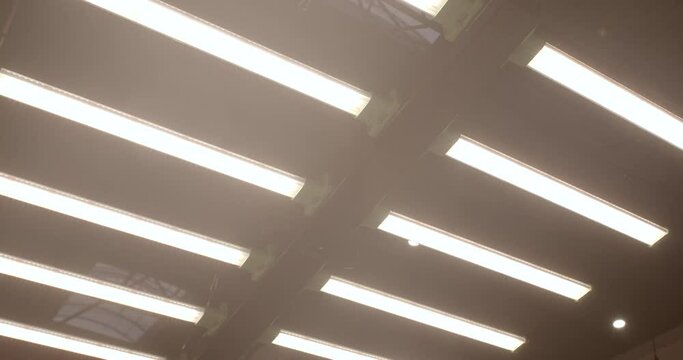 LED grow lights have become increasingly popular in indoor gardening, hydroponics, and other controlled environments due to their energy efficiency. 